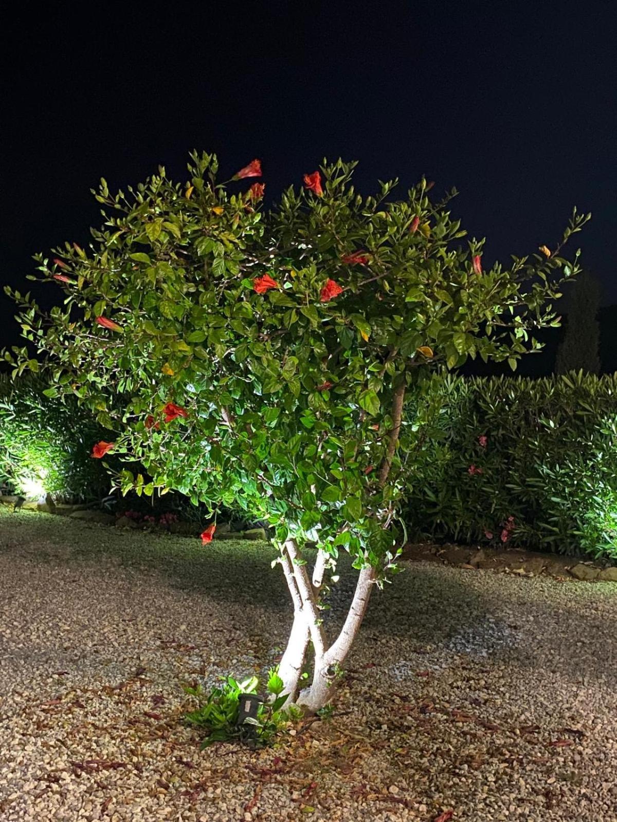 Finca Angelita Torrox Kültér fotó