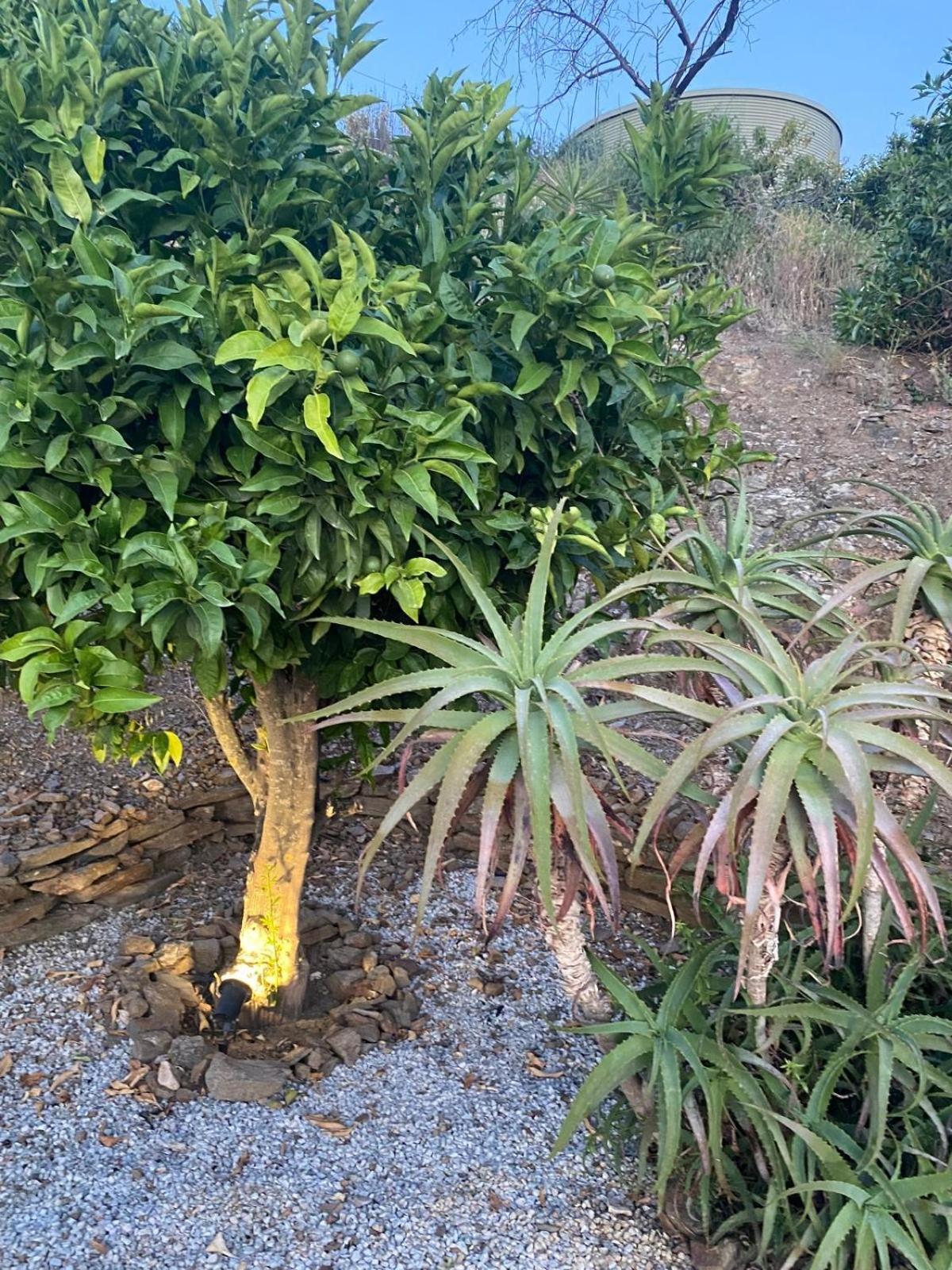 Finca Angelita Torrox Kültér fotó