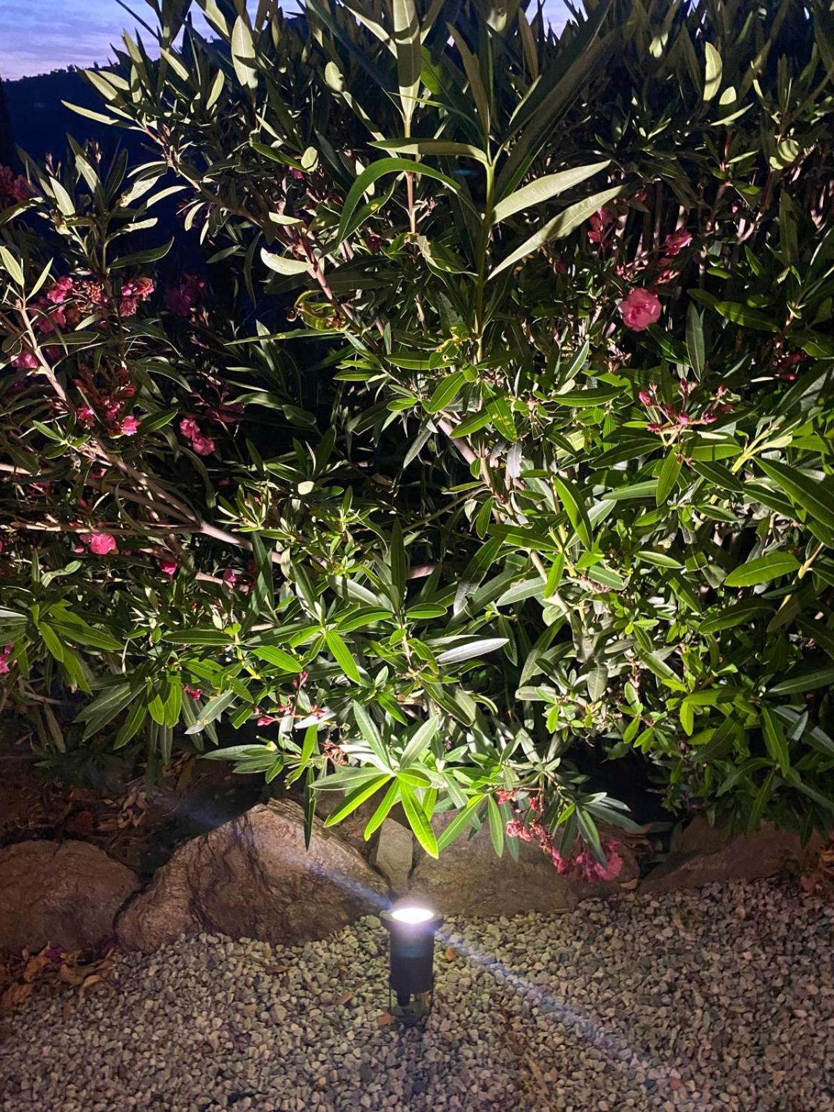 Finca Angelita Torrox Kültér fotó